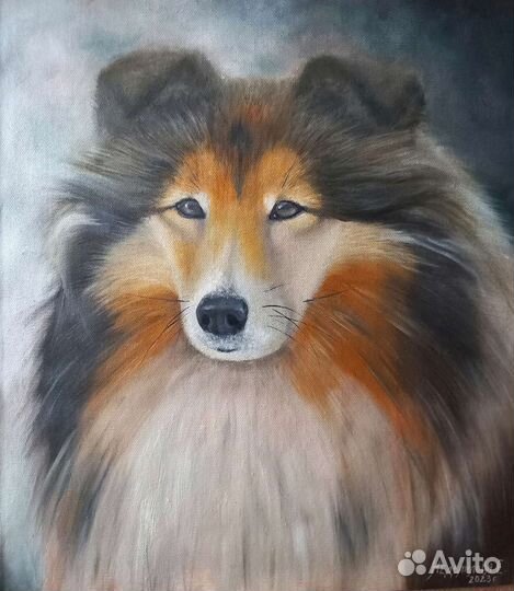 Портрет животных