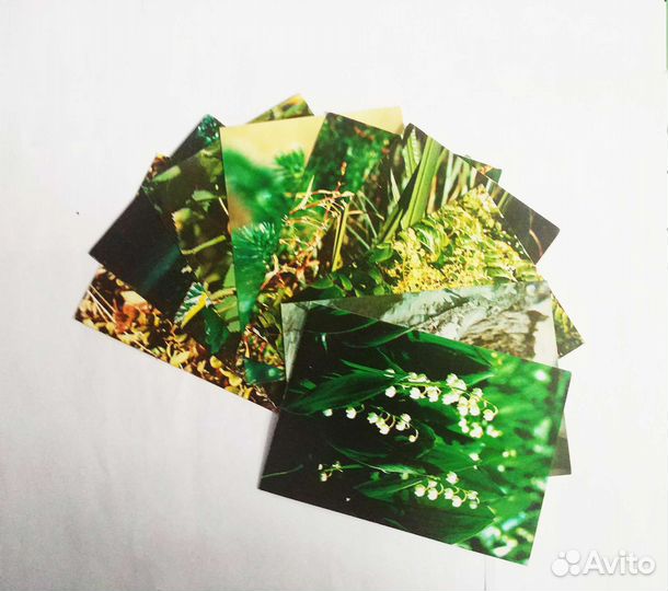 Фотокарточки Зелёная Аптека СССР (Б/У)