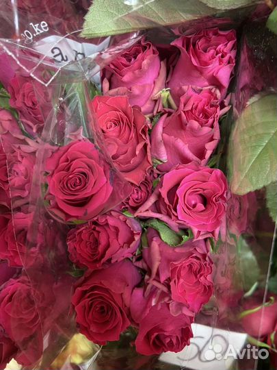 Цветы букеты 101 роза доставка 24 часа