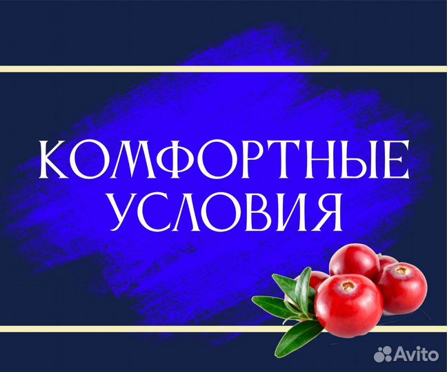 Сборщик заказов на склад/ высокий доход