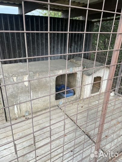 Вольер для собаки