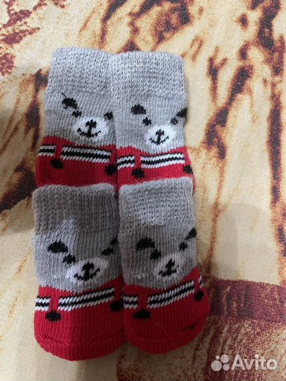 Носки для собак