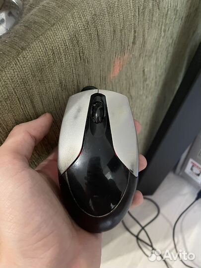 Компьютерная мышь