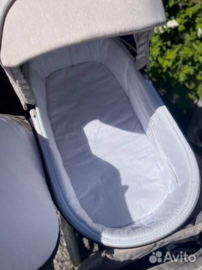 Коляска adamex zico 2в1