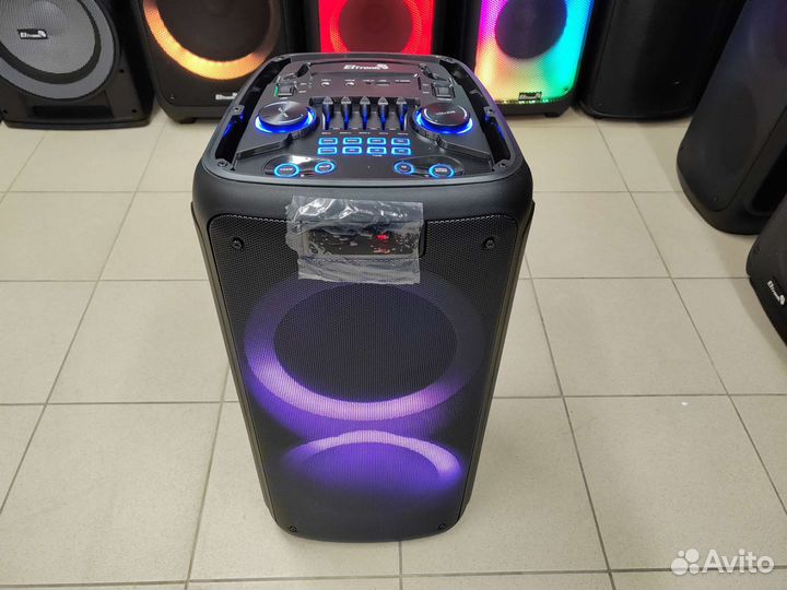 Колонка Eltronic 20-12