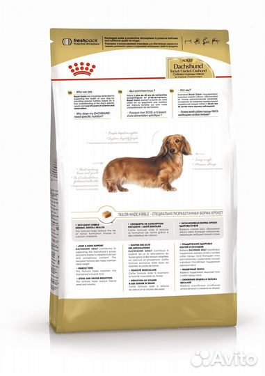 Корм Royal Canin для взрослой таксы с 10 месяцев