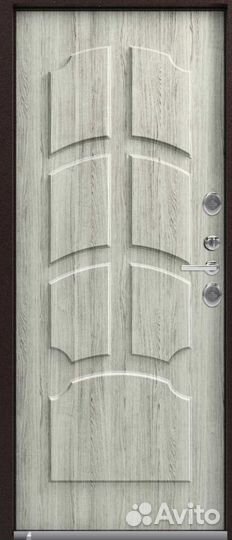 Входные двери 205 на 860
