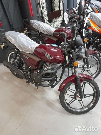 Мопеды Racer Alpha 49.9 (110) в наличии