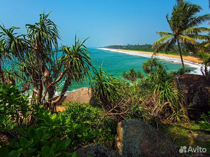 VIP-тур на Шри-Ланку на 7 нч