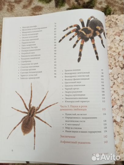 Книга энциклопедия