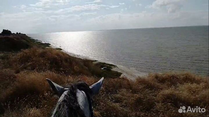 Конный поход