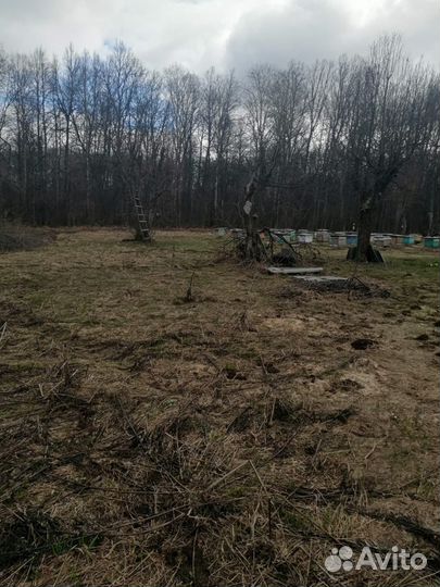 Продается пасека