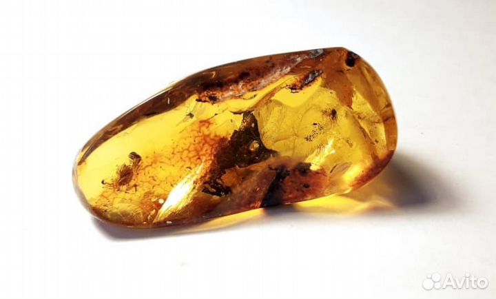 Янтарь (инклюзы)