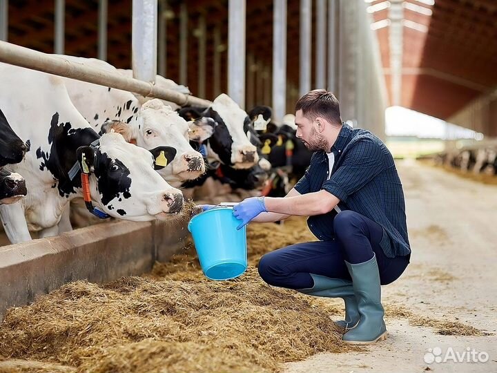 Работа скотник вахта