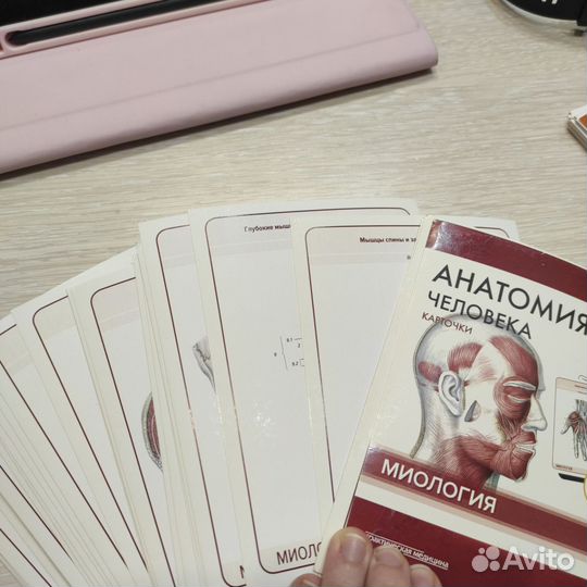 Карточки по анатомии