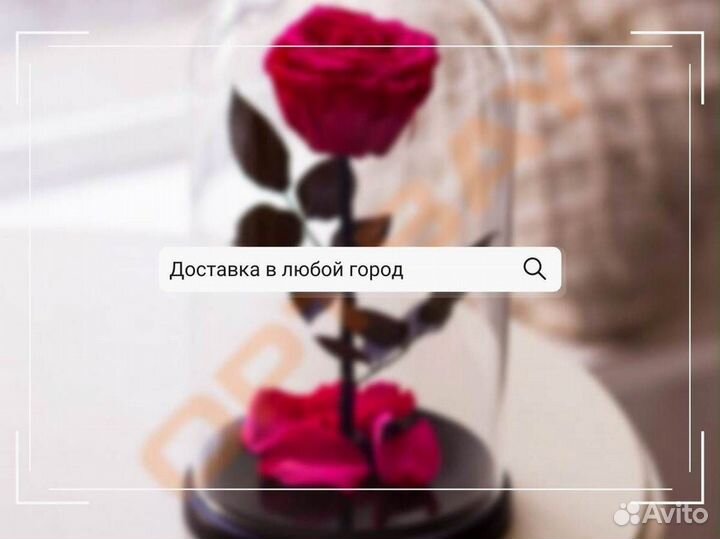 Роза в колбе. Качественная