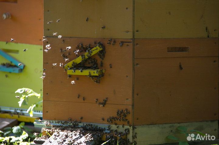 Ульи для пчел бу