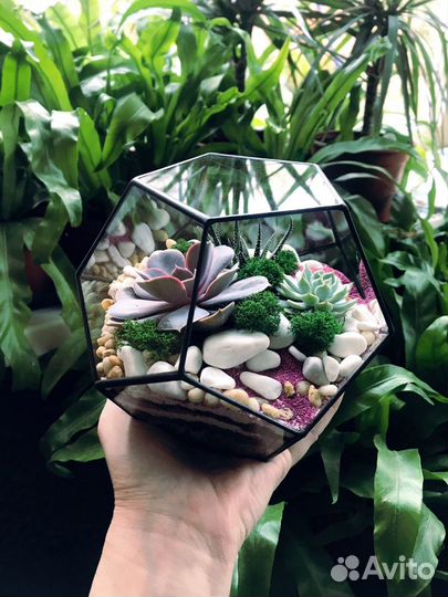 Флорариум Додекаэдр