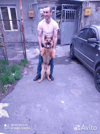 Услуги мастер на час
