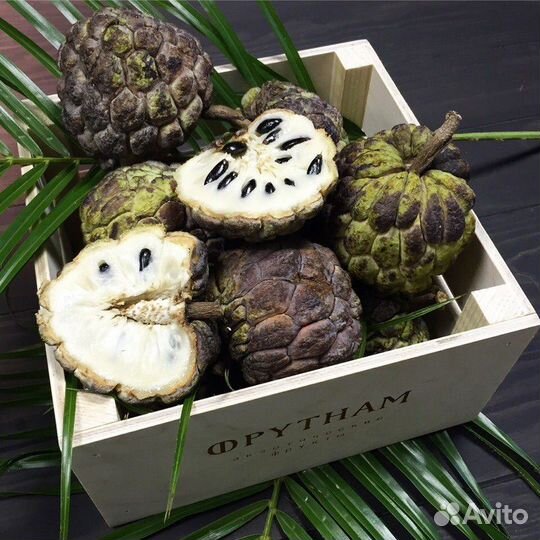 Аннона/сметанное яблоко/черемойя семена