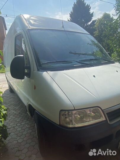 FIAT Ducato 2.3 MT, 2009, 26 000 км