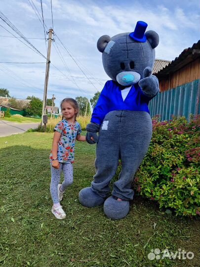 Аниматор Мишка Тедди