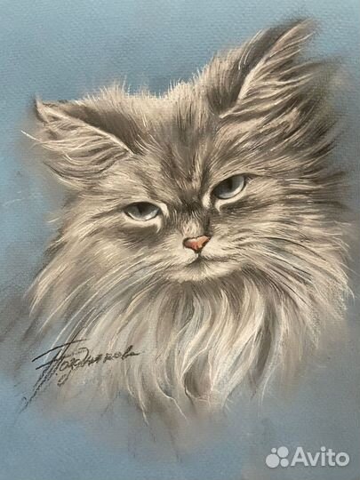 Нарисую портрет вашего домашнего любимца