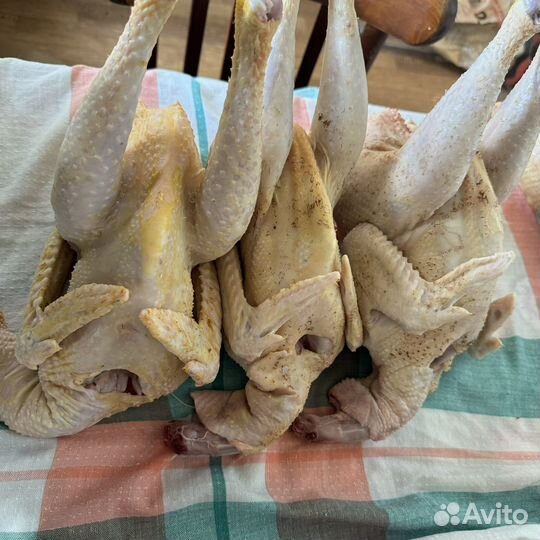 Мясо домашних петушков