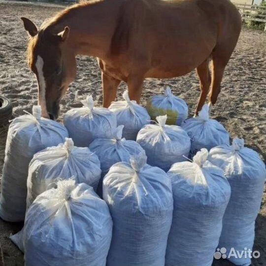 Продаётся конный навоз