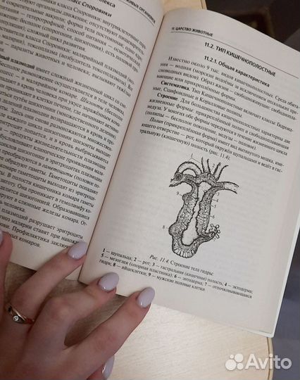 ЕГЭ и ОГЭ справочник по биологии (Легион)