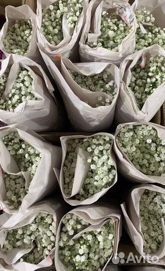 Цветы оптом в ваш город из Москвы