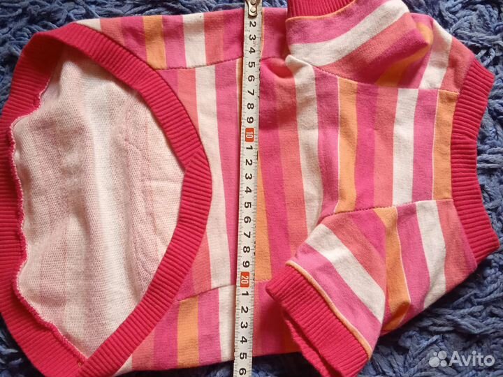 Одежда для собак