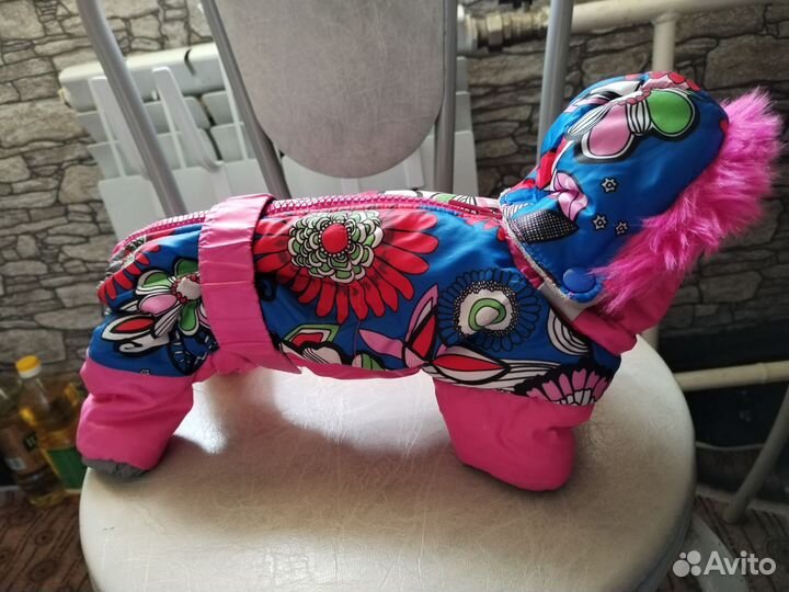 Одежда для щенка той терьера