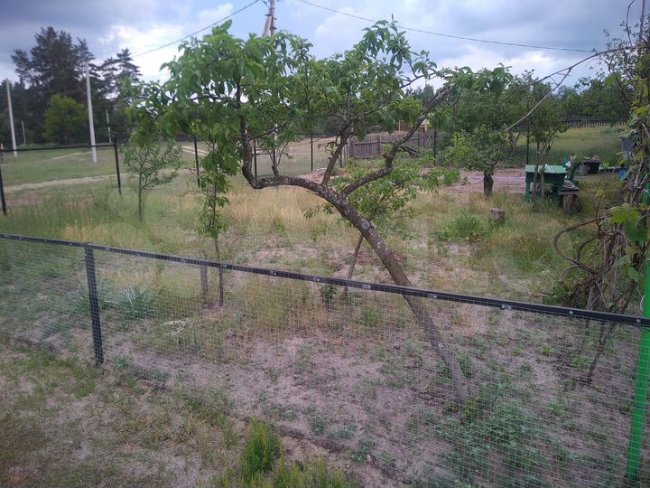 Дом 48,5 м² на участке 6 сот.