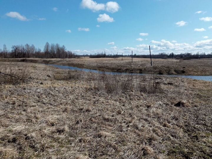 Участок 100 сот. (ИЖС)