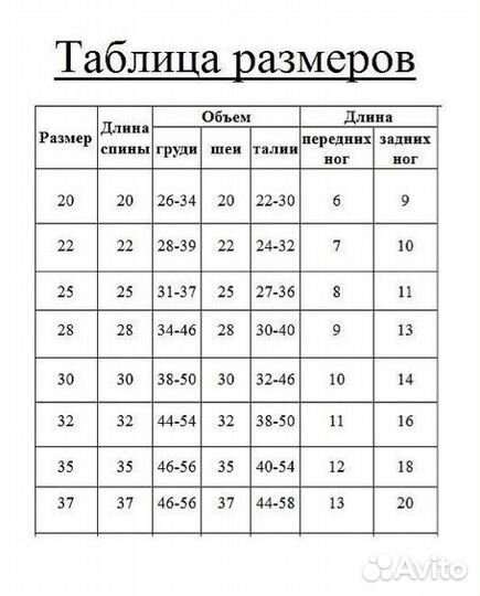 Одежда для собак