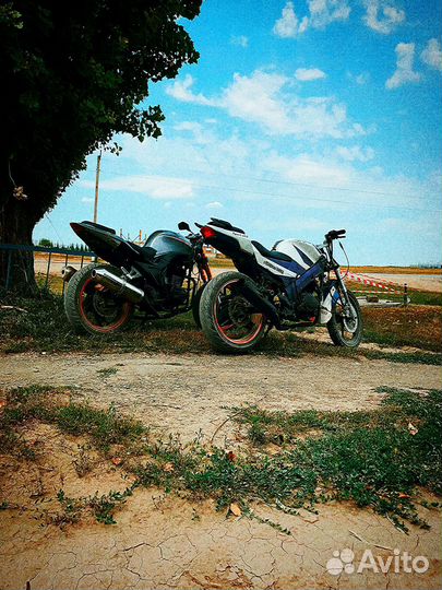 Honda patron sport 200