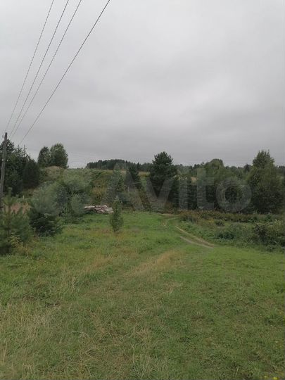 Участок 6 сот. (СНТ, ДНП)