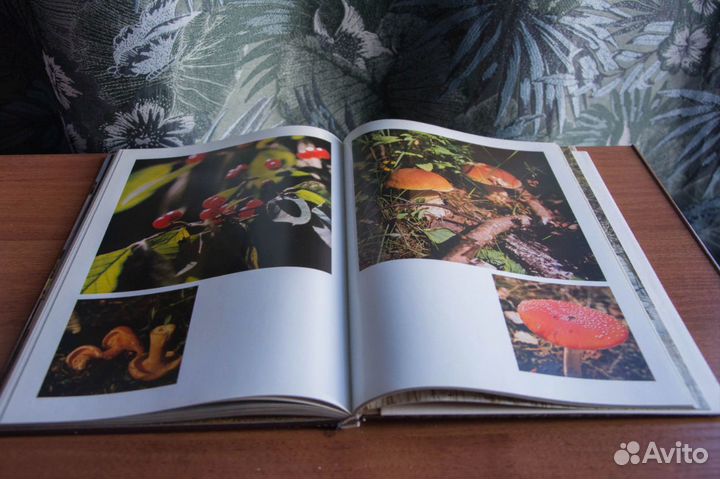 Фотоальбом 