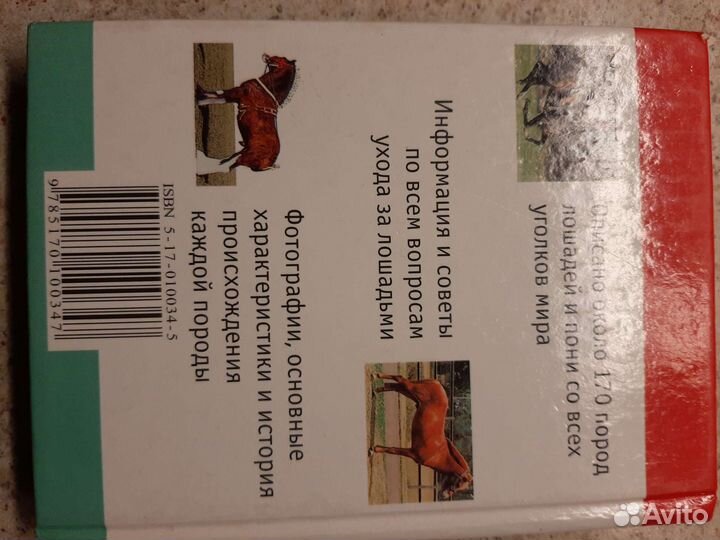 Мини-энциклопедия Лошади и пони