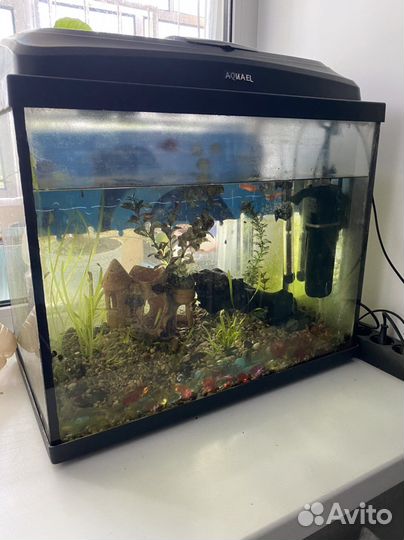 Аквариум 60л