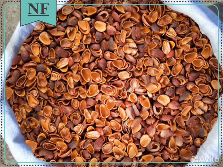 Кедровая шелуха - оптом и в розницу