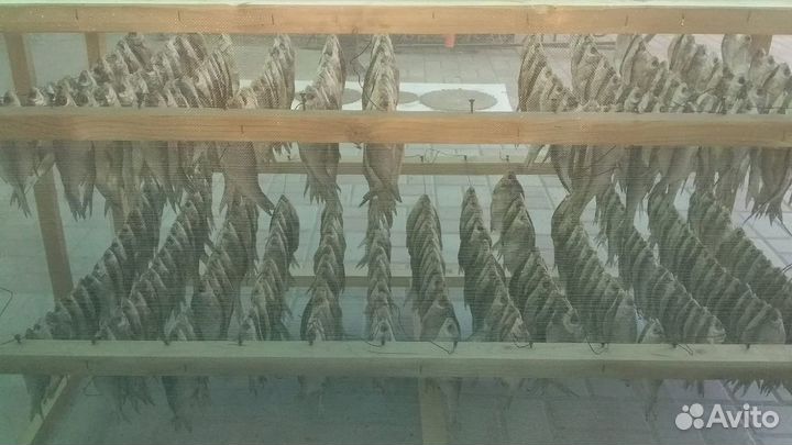 Сушилка для рыбы