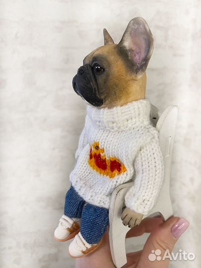 Французский бульдог Бланк