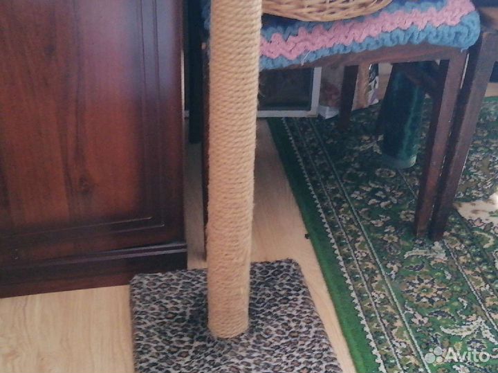 Когтеточка