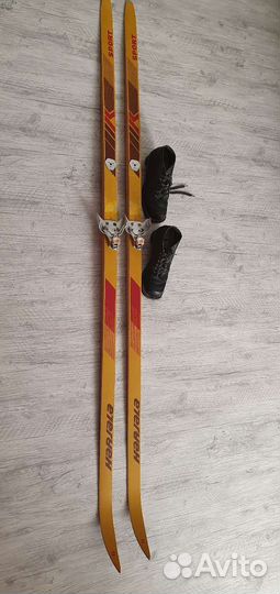 Беговые лыжи