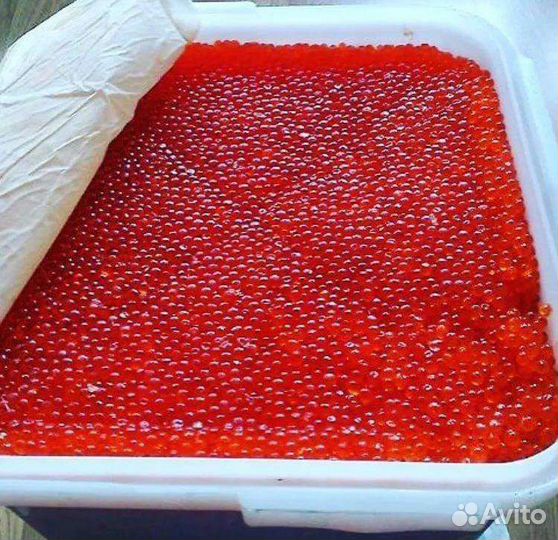 Икра красная