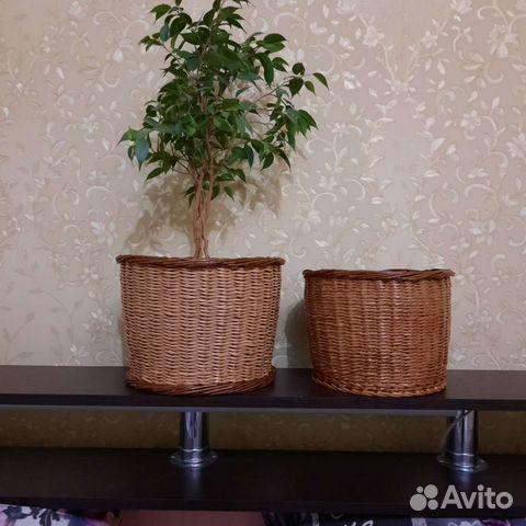 Плету из эко - лозы
