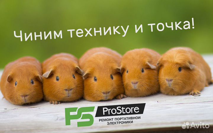 Правильная замена аккумуляторов на iPhone