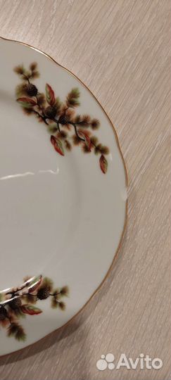 Тарелки япония шишки